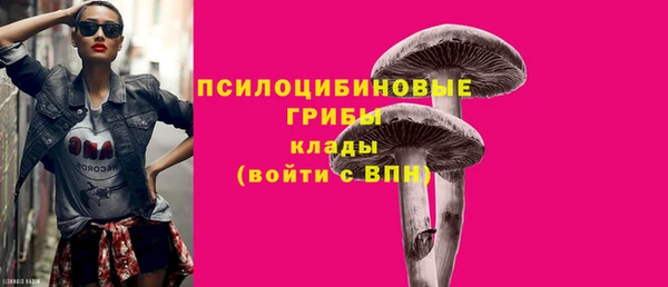 гидра Белоозёрский