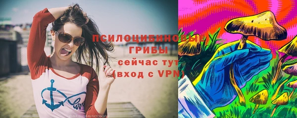 гидра Белоозёрский