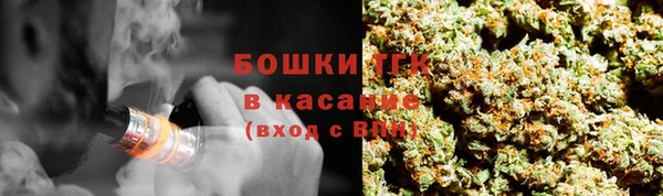 гидра Белоозёрский