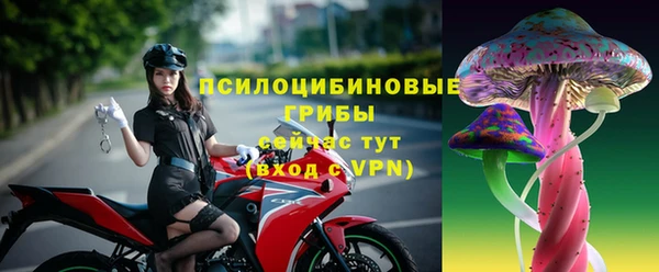 гидра Белоозёрский